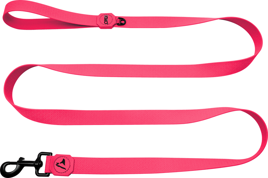 DOCO Jelly Bean Leash 5FT Medium