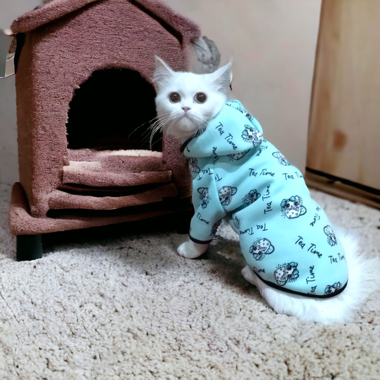 Petmoda Sweatshirt for cats