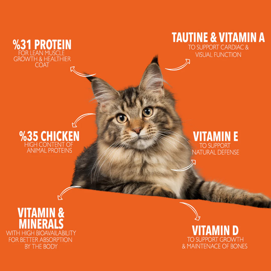 Legends Wholesome With Chicken For Adult Cats 10kg