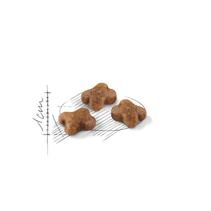 Royal Canin Kitten Dry Food 400g