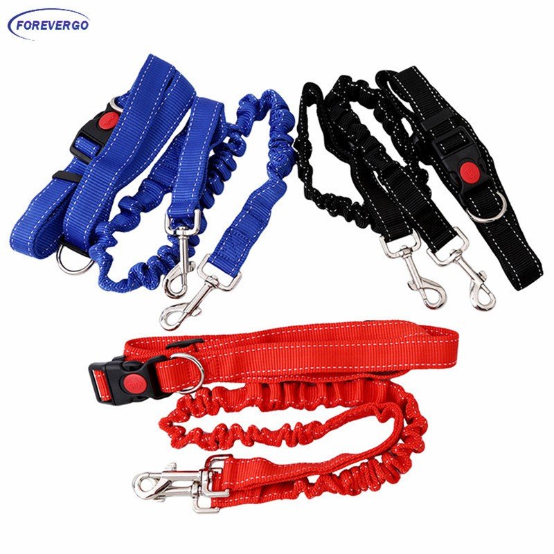 Elastic Packed Leash (2 cm × 90-180 cm)