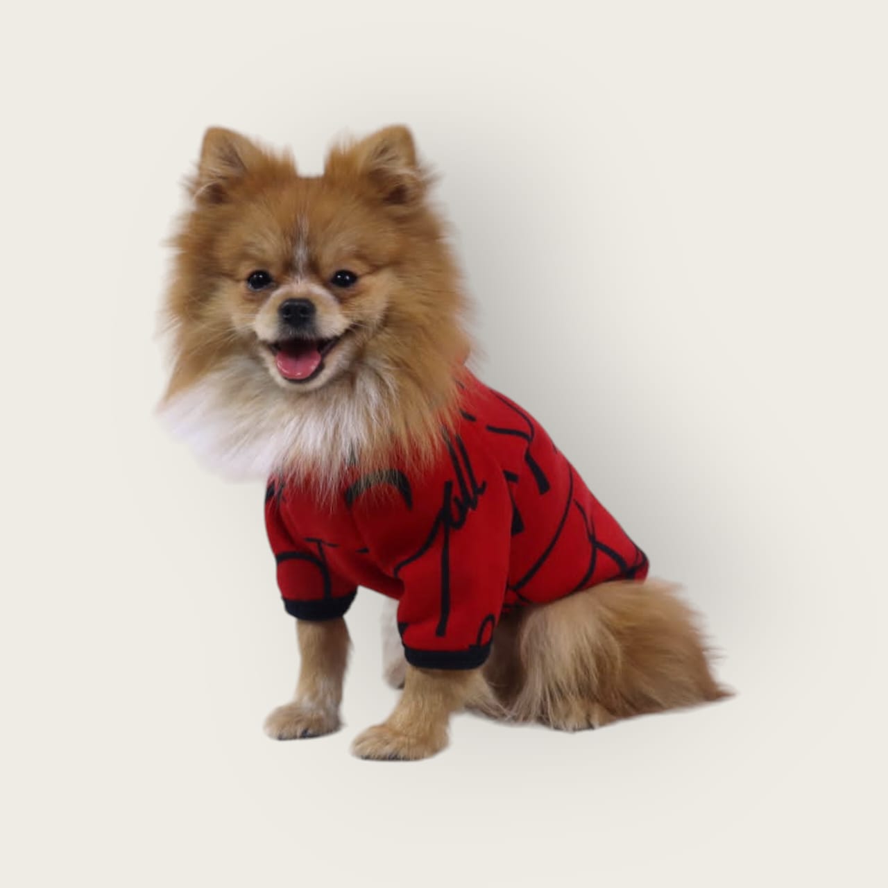 Petmoda Moda Sweatshirt Milton Dog Cat 10 sizes