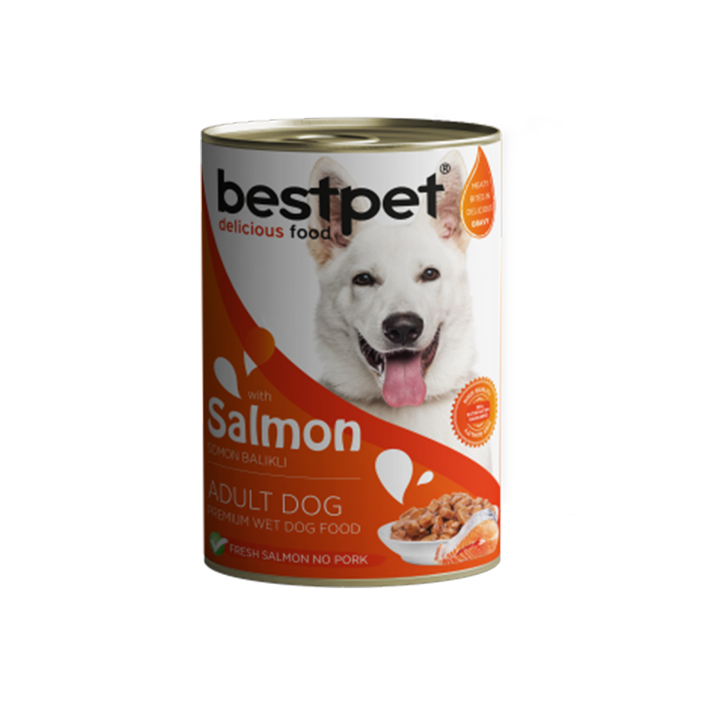 bestpet Wet Food for Adult Dog With Salmon 400 g