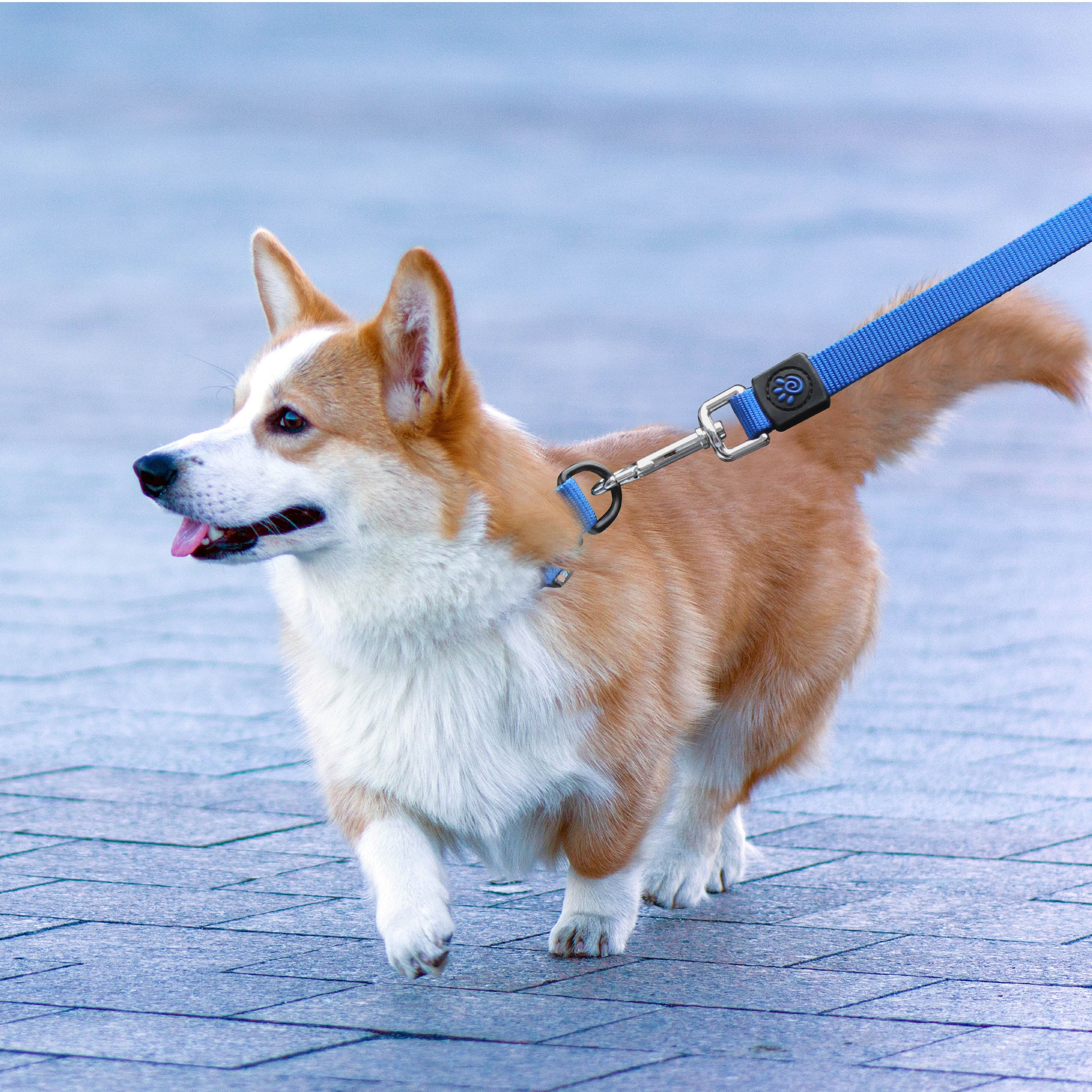 DOCO Nylon Leash 4FT Large