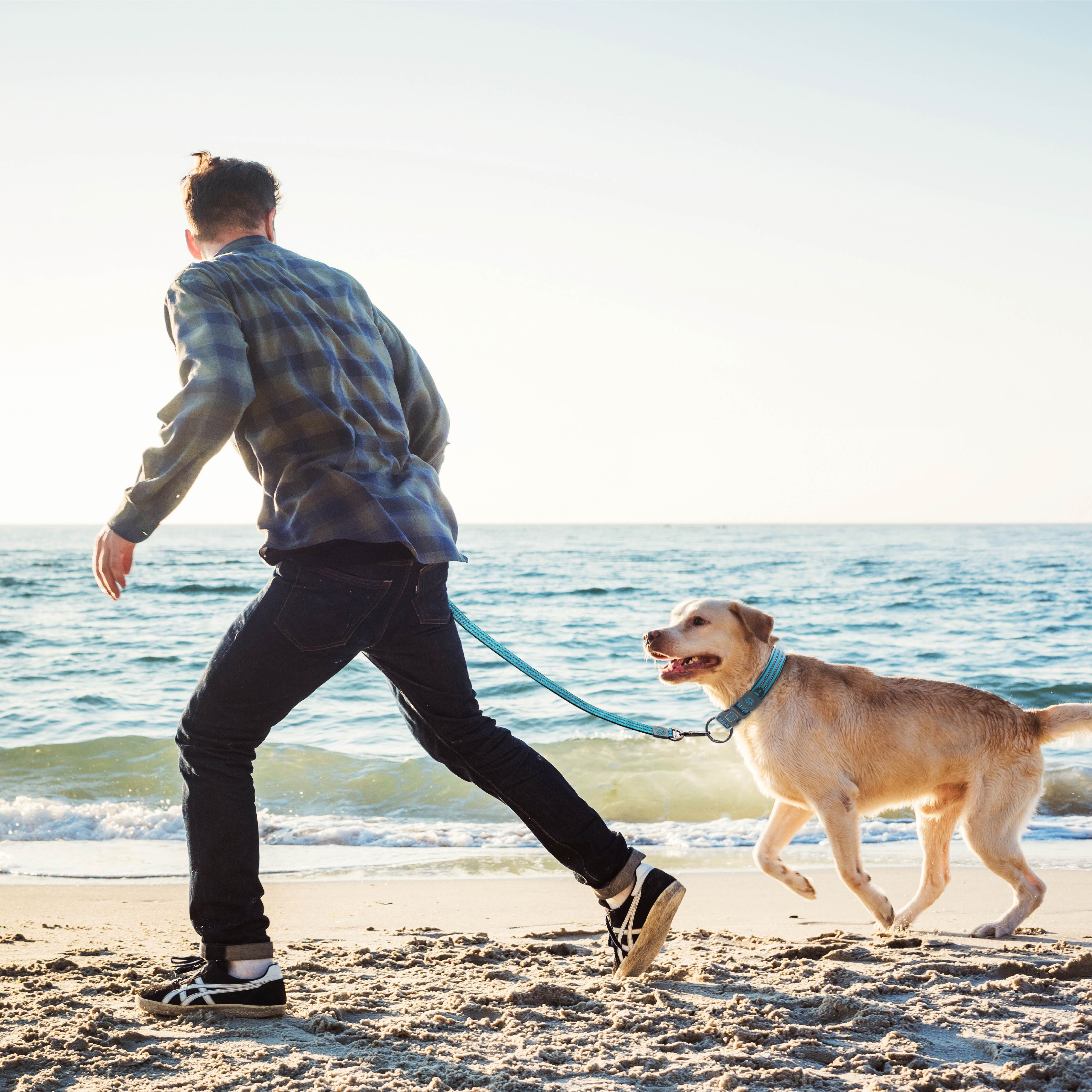 DOCO Vario Leash 4FT Medium