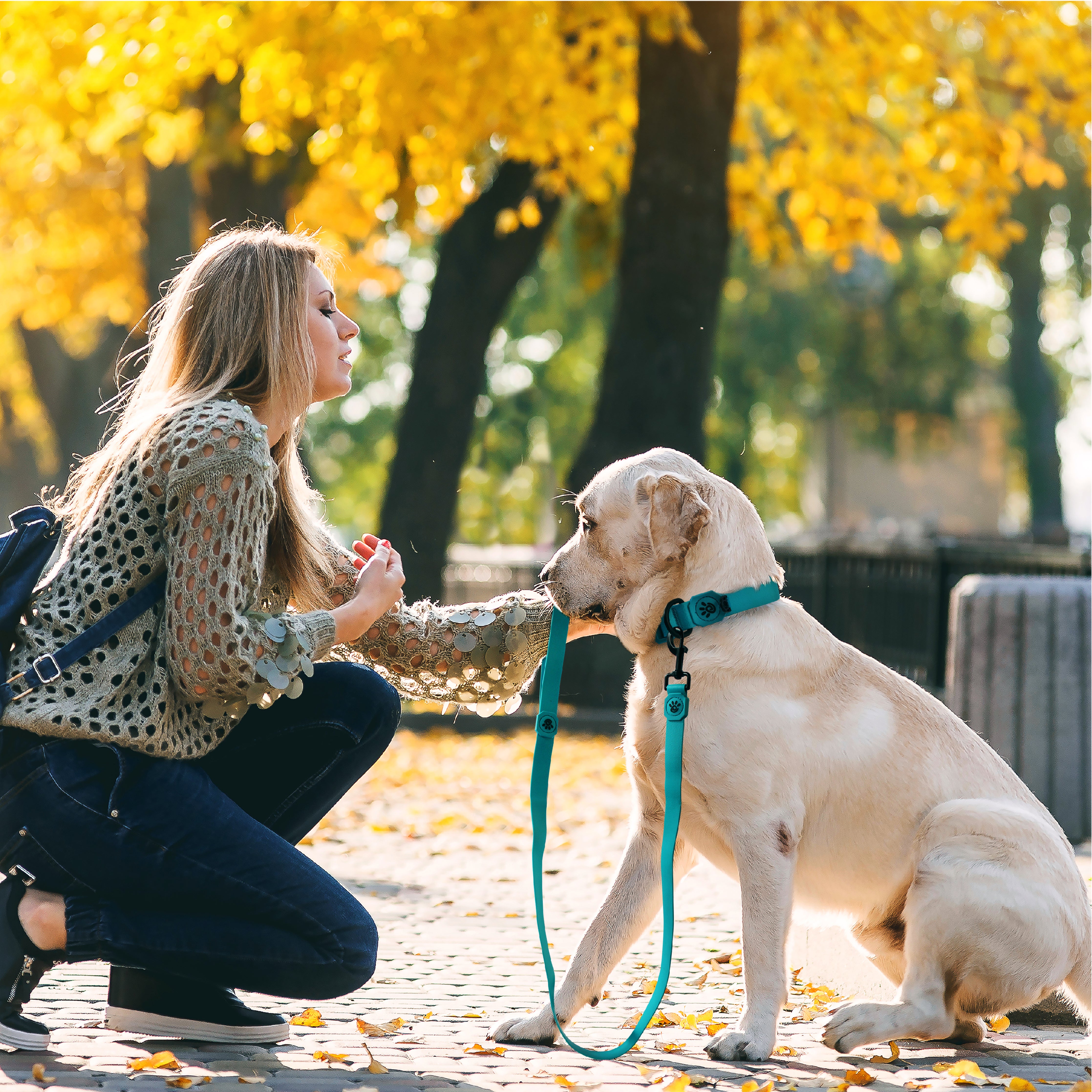 DOCO Jelly Bean Leash 5FT Medium