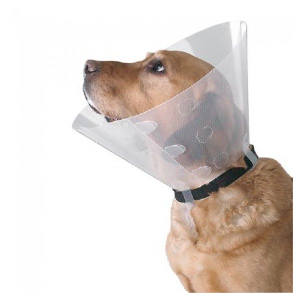 Clic Elizabethan E-Collar Cone dogs and cats sizes