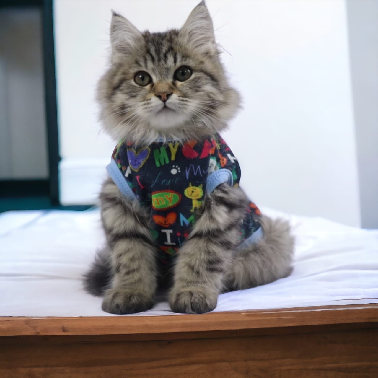 Petmoda T shirt for cats