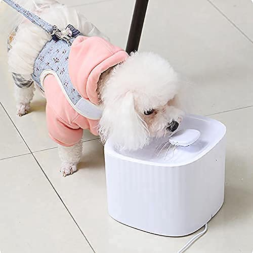 Naomi Cat&Dog Water Fountain Automatic Without Lighted models(Color-White)