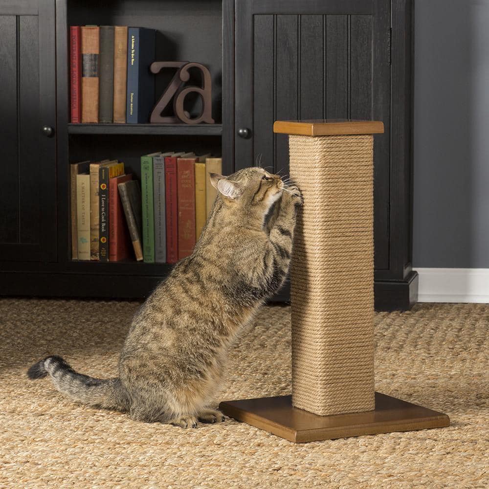 Petmoda Scratch Tower Cat Scratcher With catnip