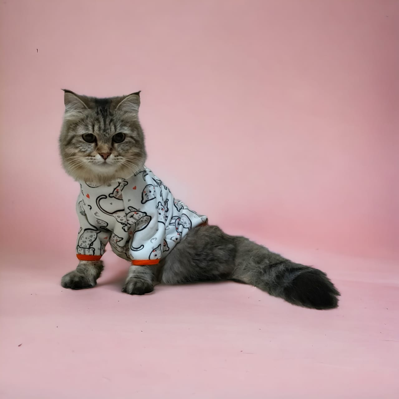 Petmoda Sweatshirt for cats