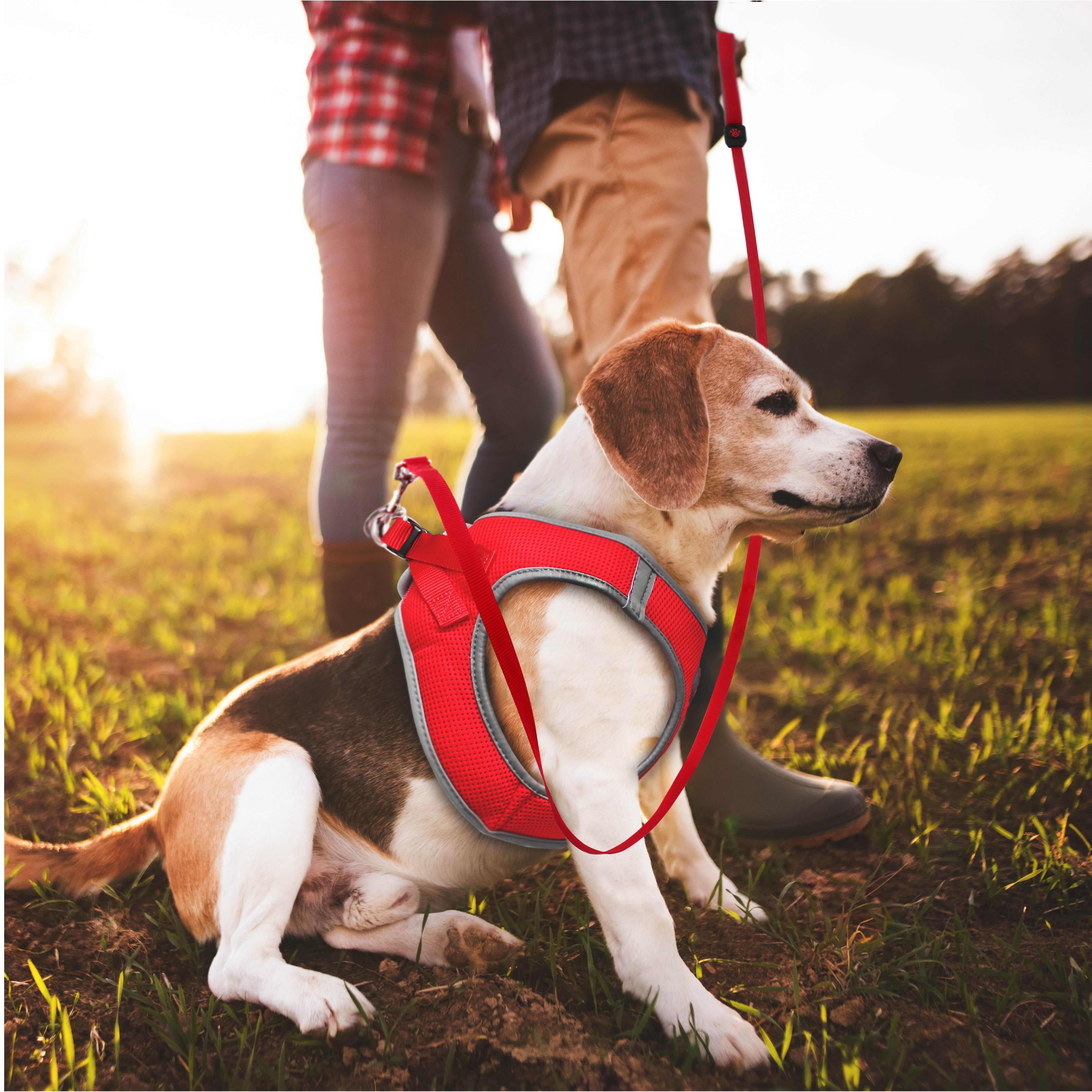 DOCO Silver Reflictive Mesh Leash Small