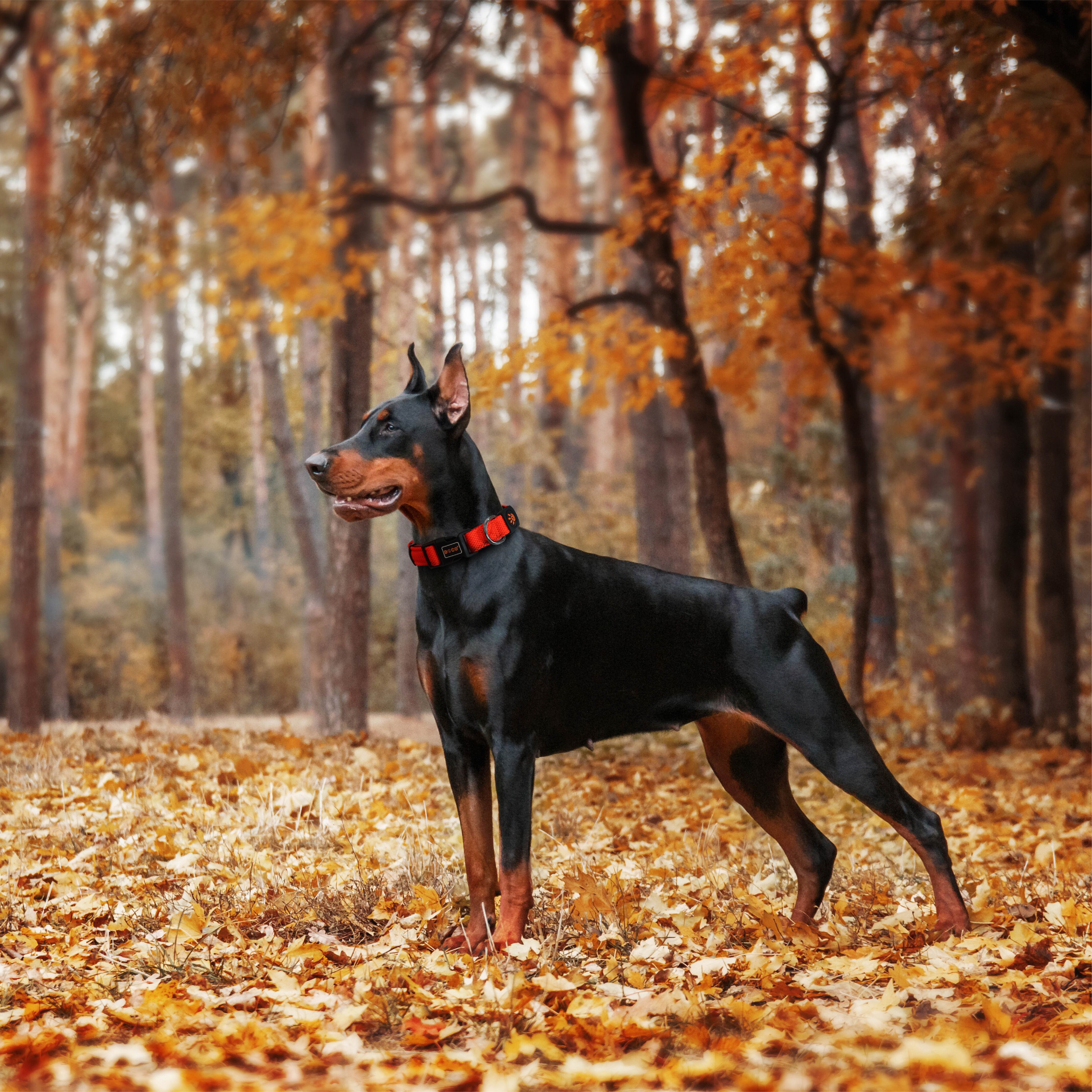 DOCO Puffy Air Collar X-Small