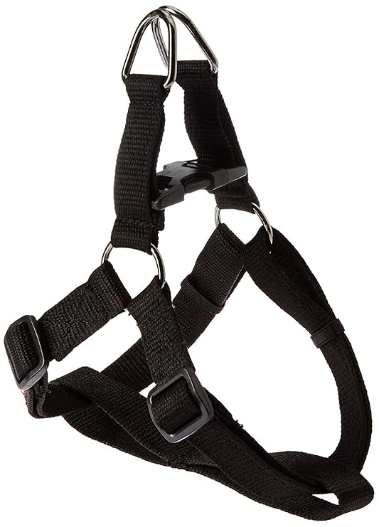Regular Harness  x large (red)