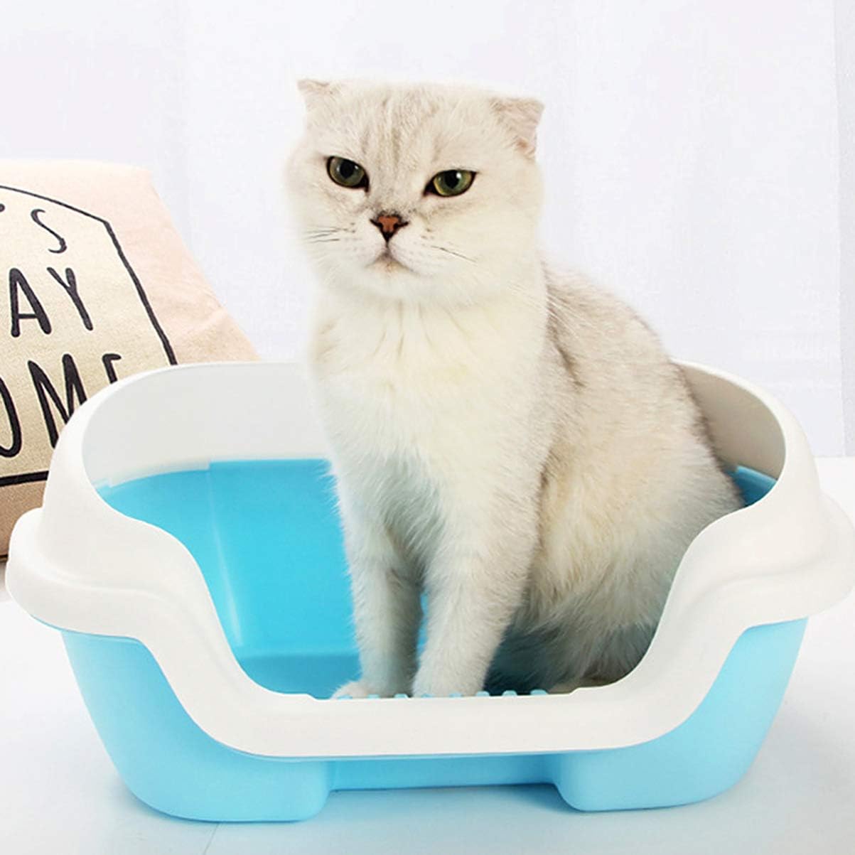 Naomi Cat litter Box with shovel