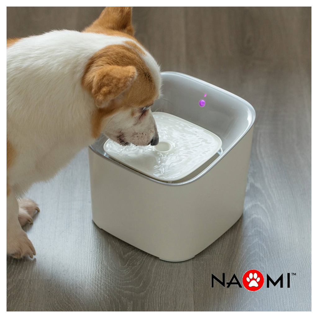 Naomi Smart pet drinking fountain