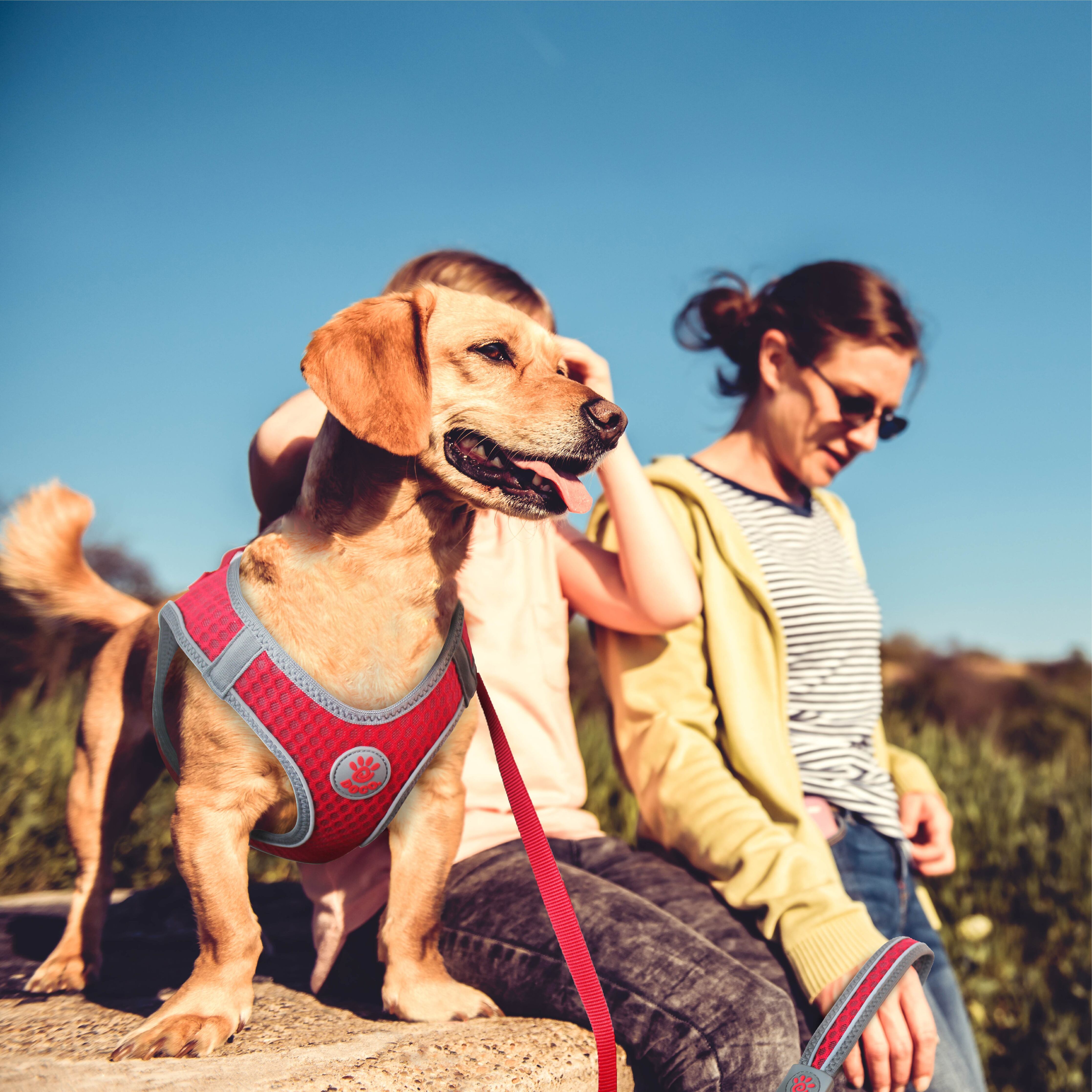 DOCO Net Mesh Sport Harness Large