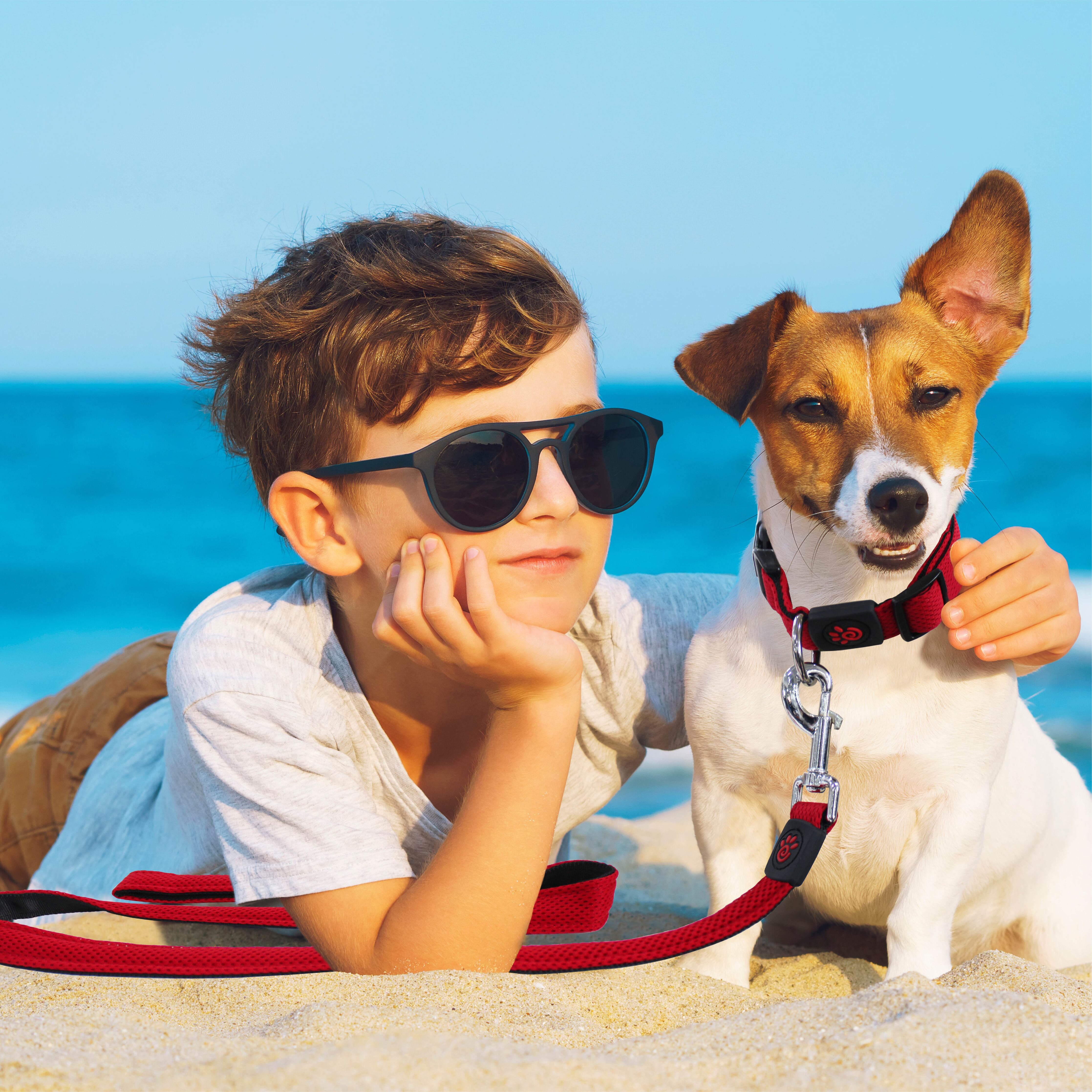 DOCO Puffy Air Leash 5FT Medium - Large