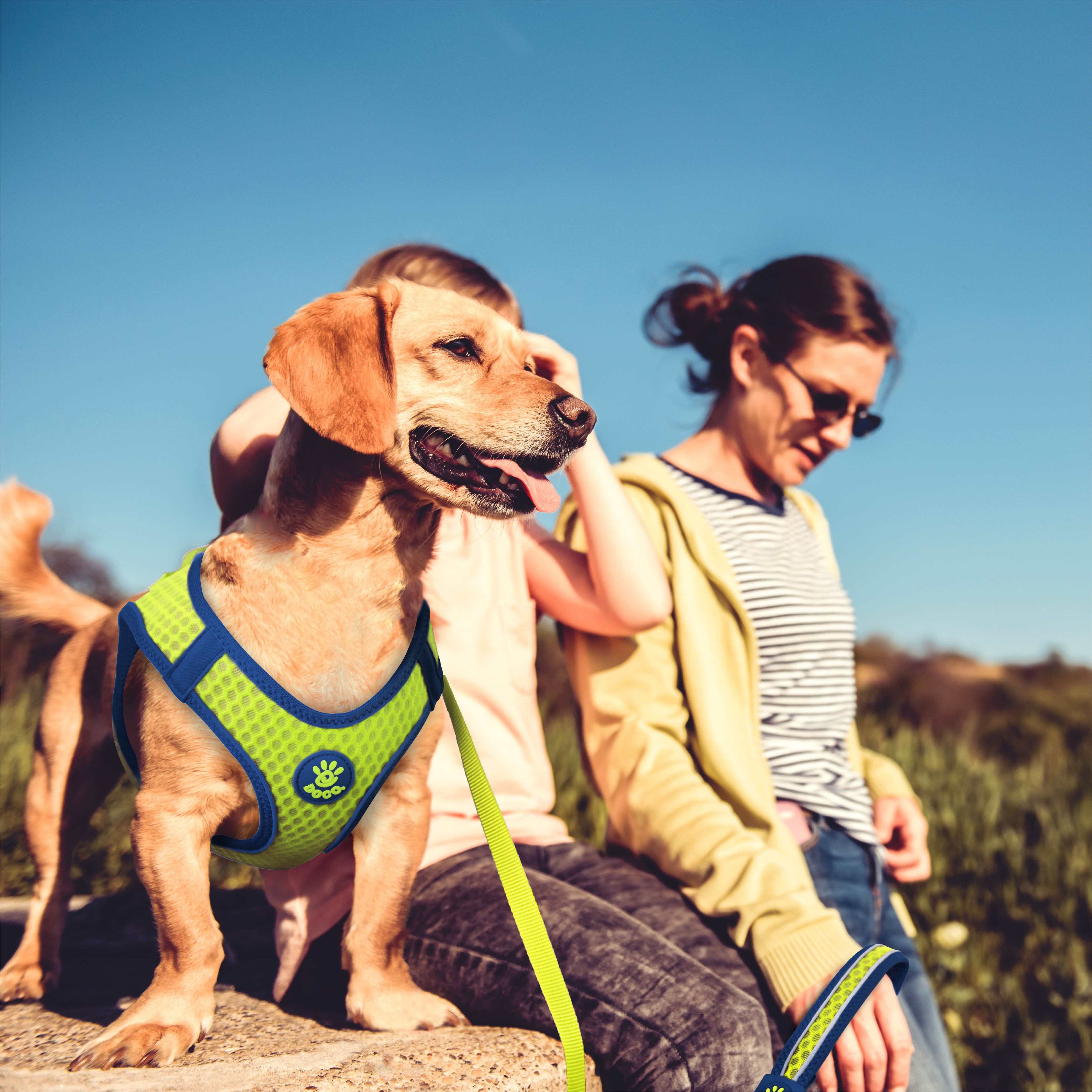 DOCO Net Mesh Sport Leash Small