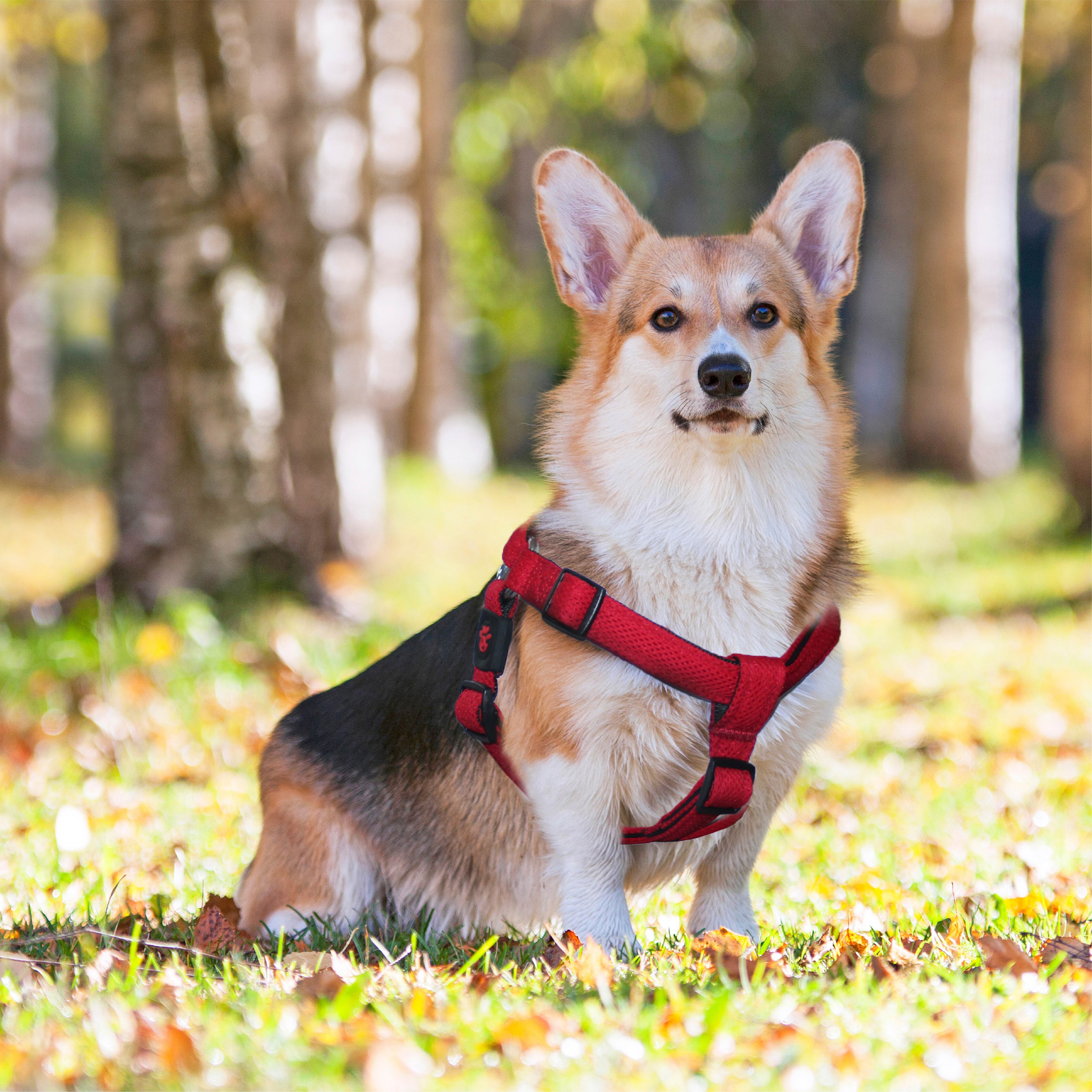 DOCO Puffy Air Step In Harness Large