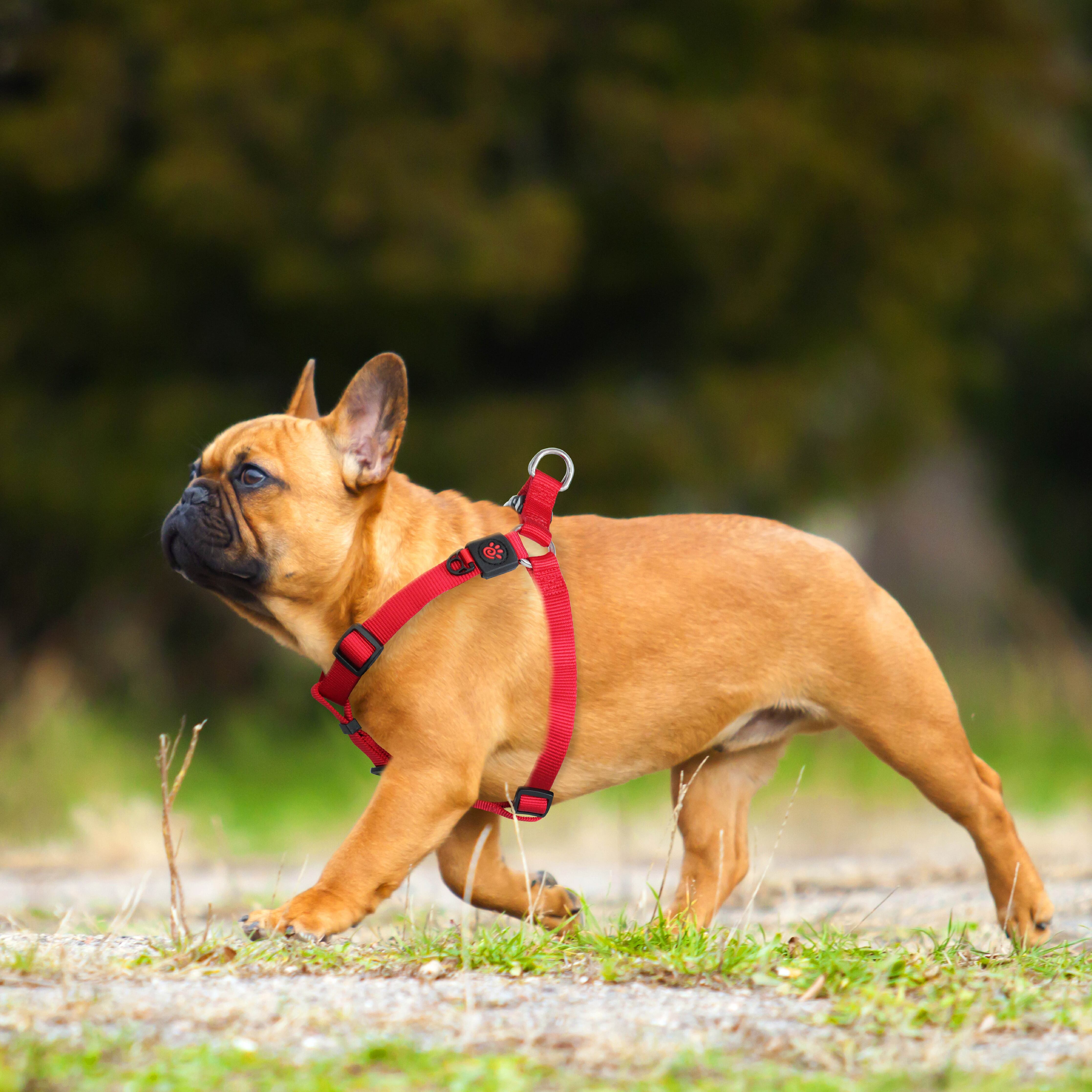 DOCO Step In Harness X-Small