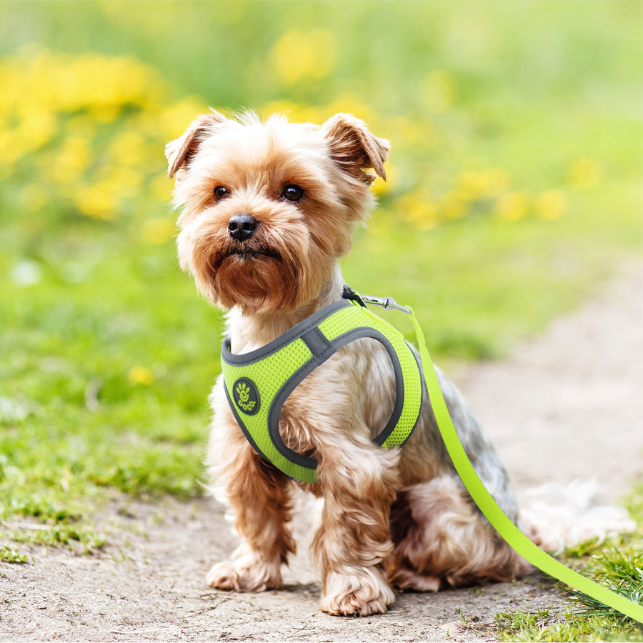 DOCO Athletica Quick Fit Reflective Harness Small
