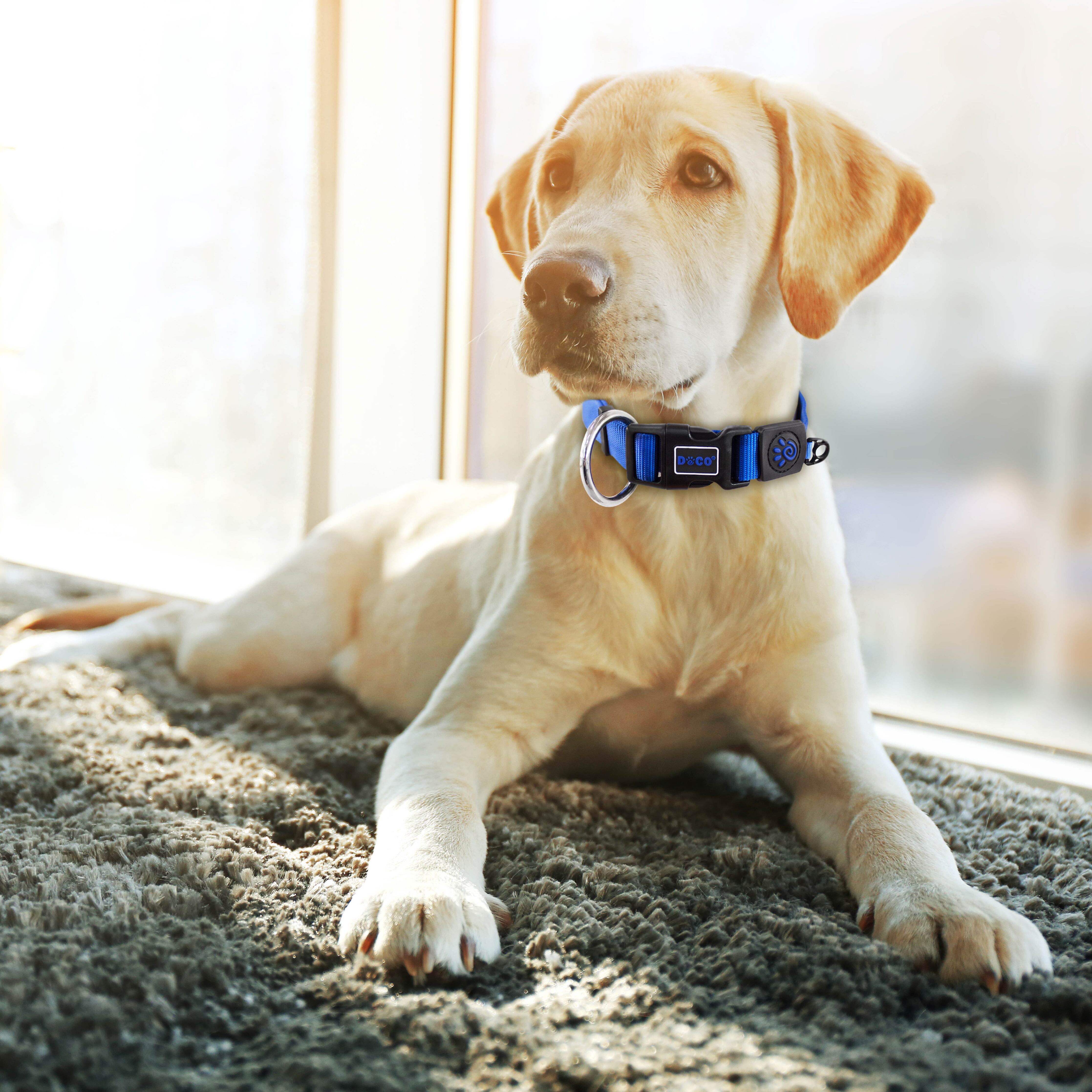 DOCO O-Ring Nylon Collar Medium