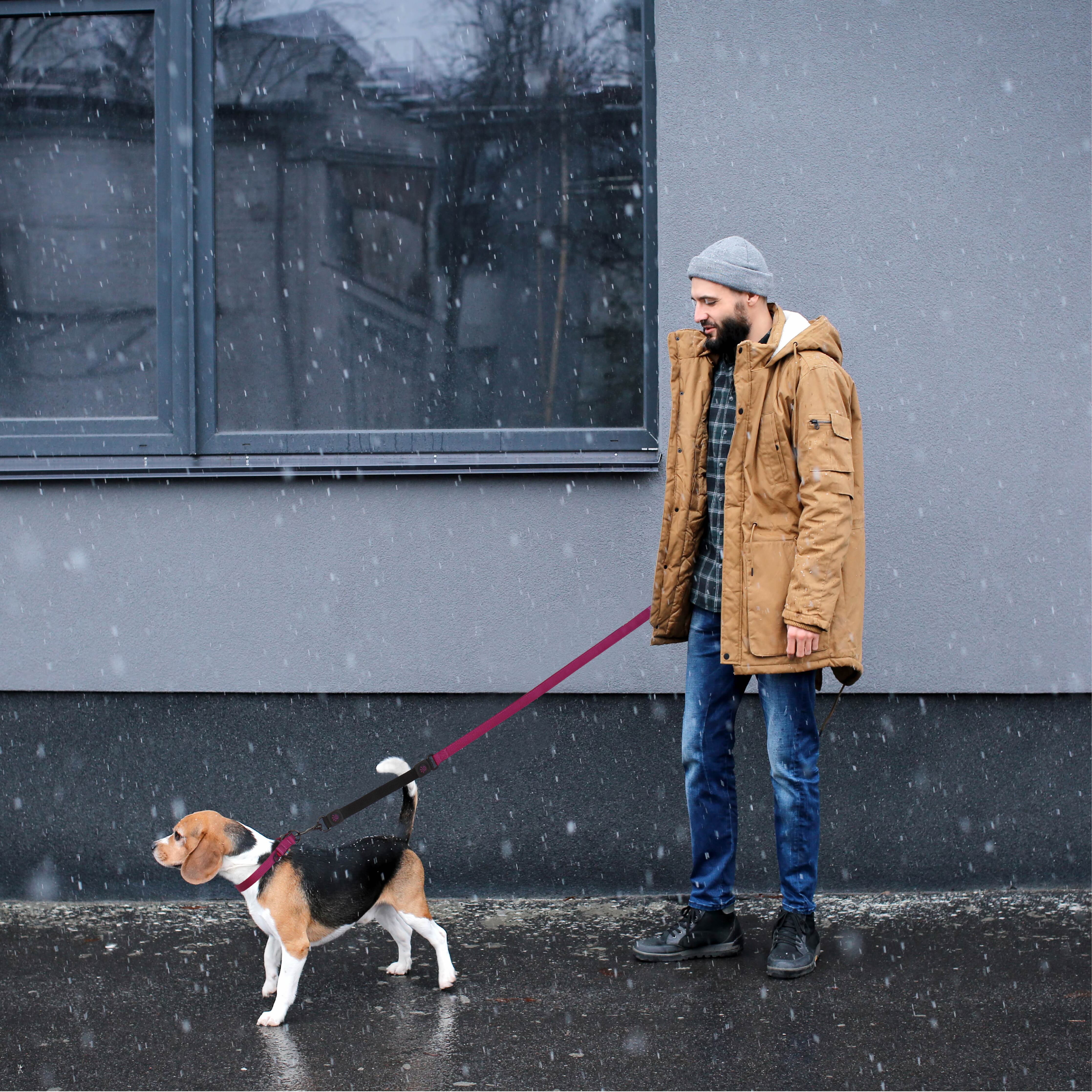 DOCO Shock Absorbing Bungee Leash 4FT Large