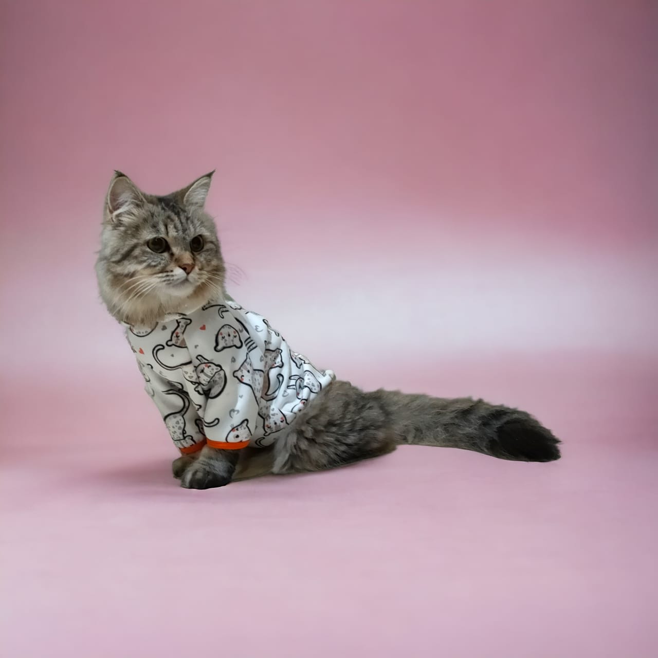 Petmoda Sweatshirt for cats