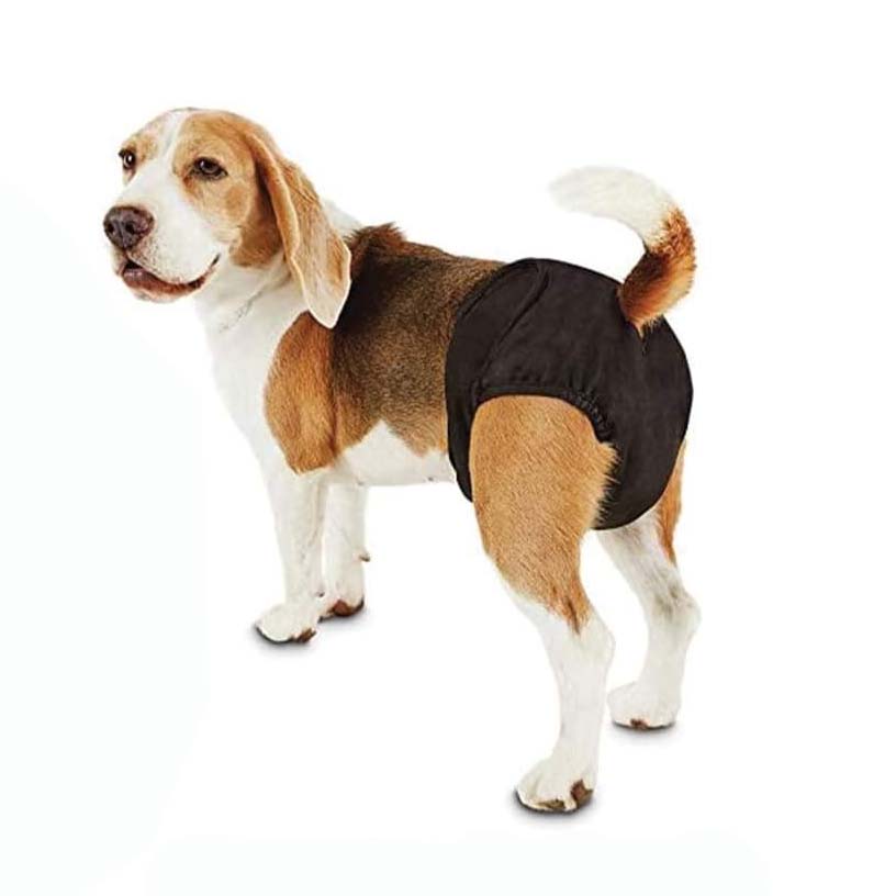 Petmoda Diaper for heat