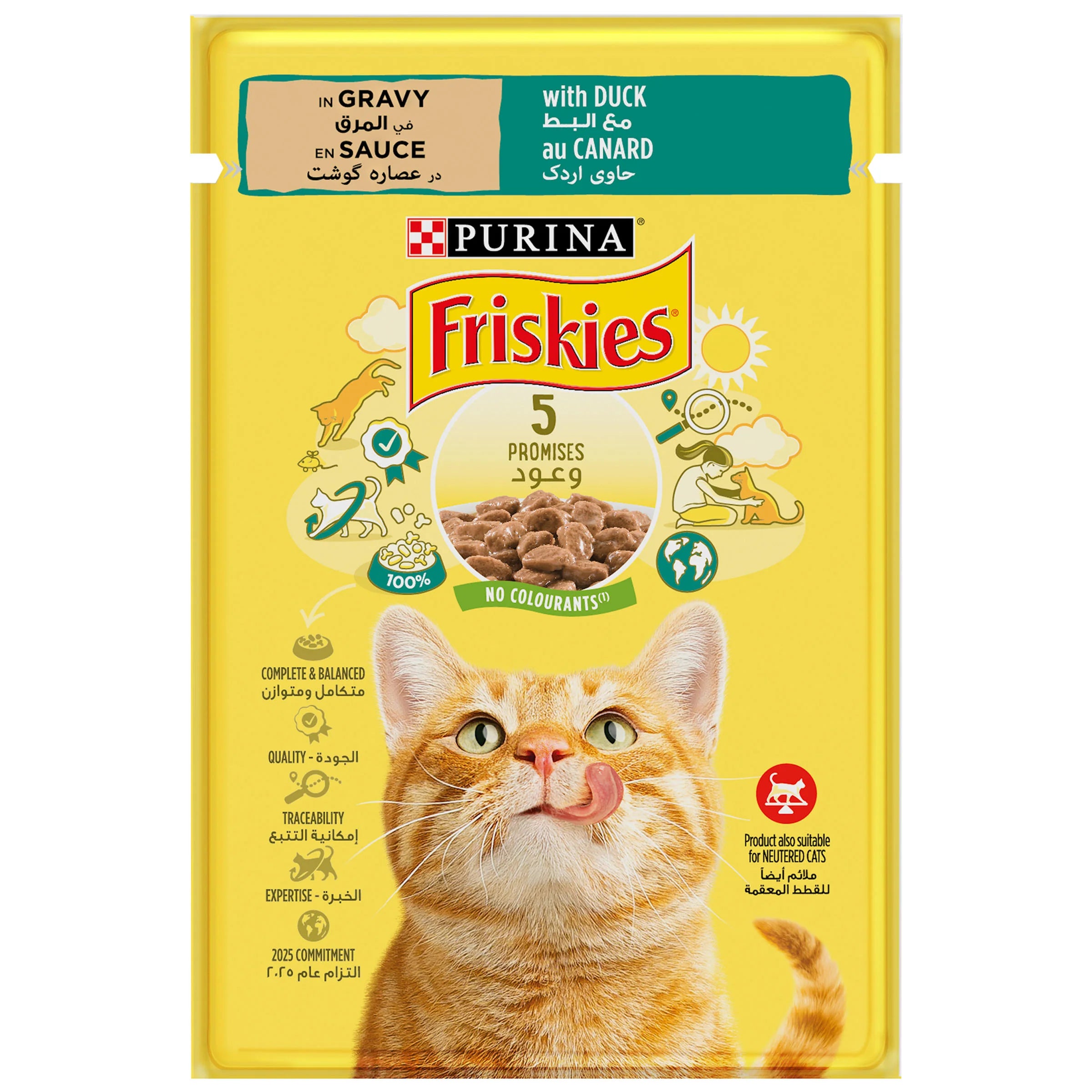 Friskies with Duck in Gravy  85g