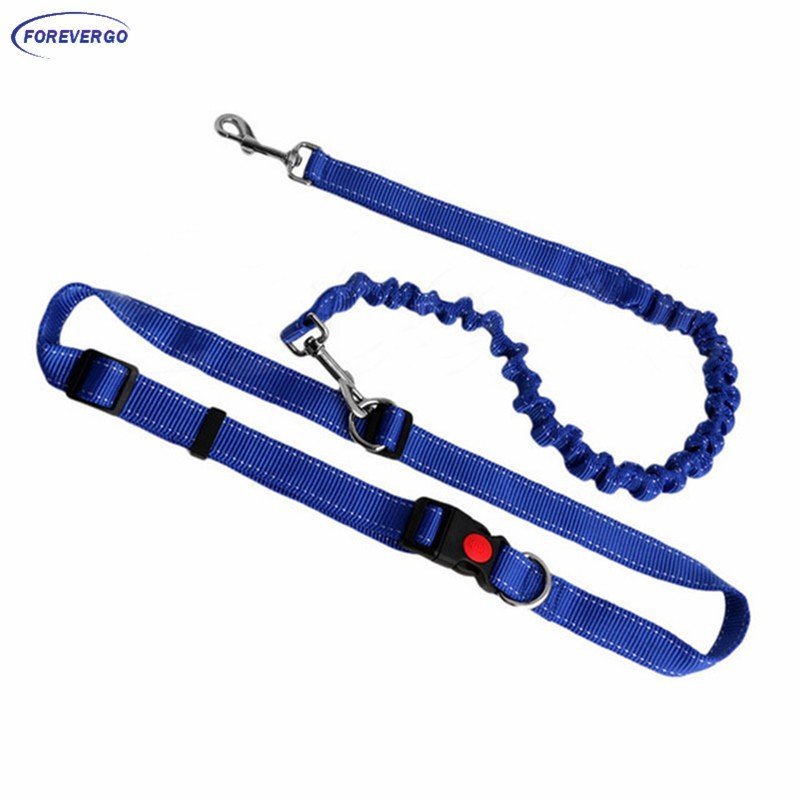 Elastic Packed Leash (2 cm × 90-180 cm)