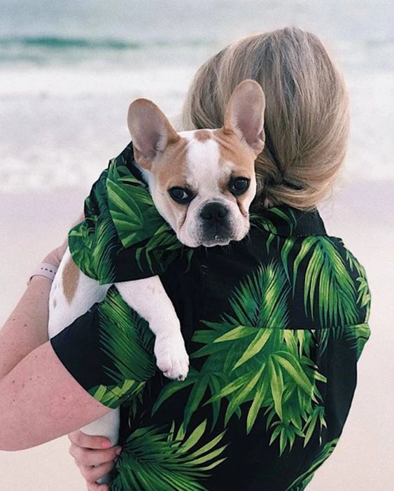 Petmoda Hawaiian shirt