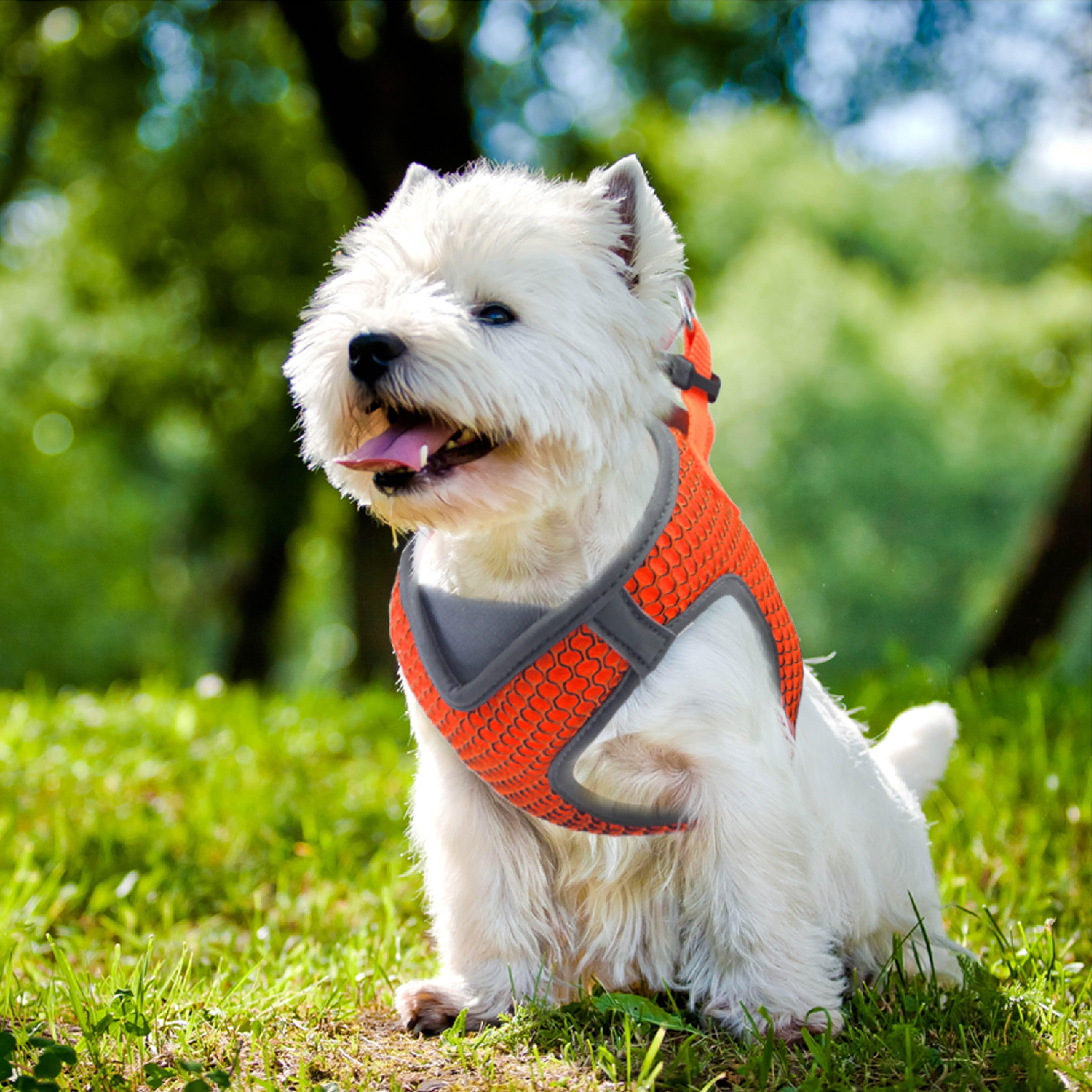 DOCO Athletica Quick Fit V Mesh Reflective Harness X-Large