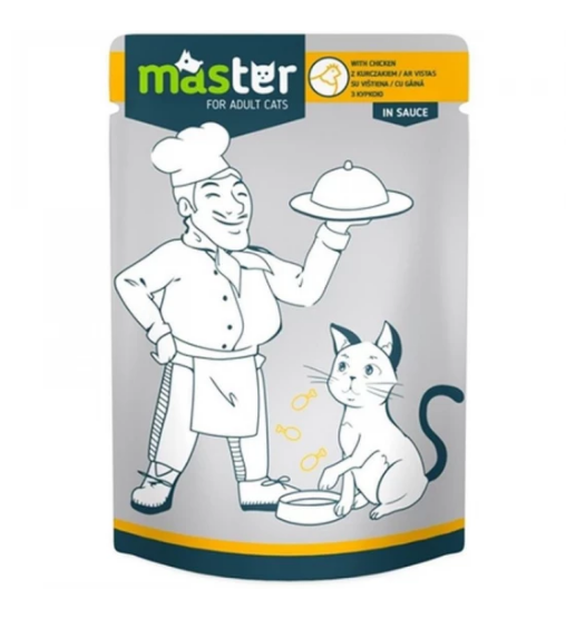 Master Cat Wet Food Adult with Chicken in sauce Pouch 80 g