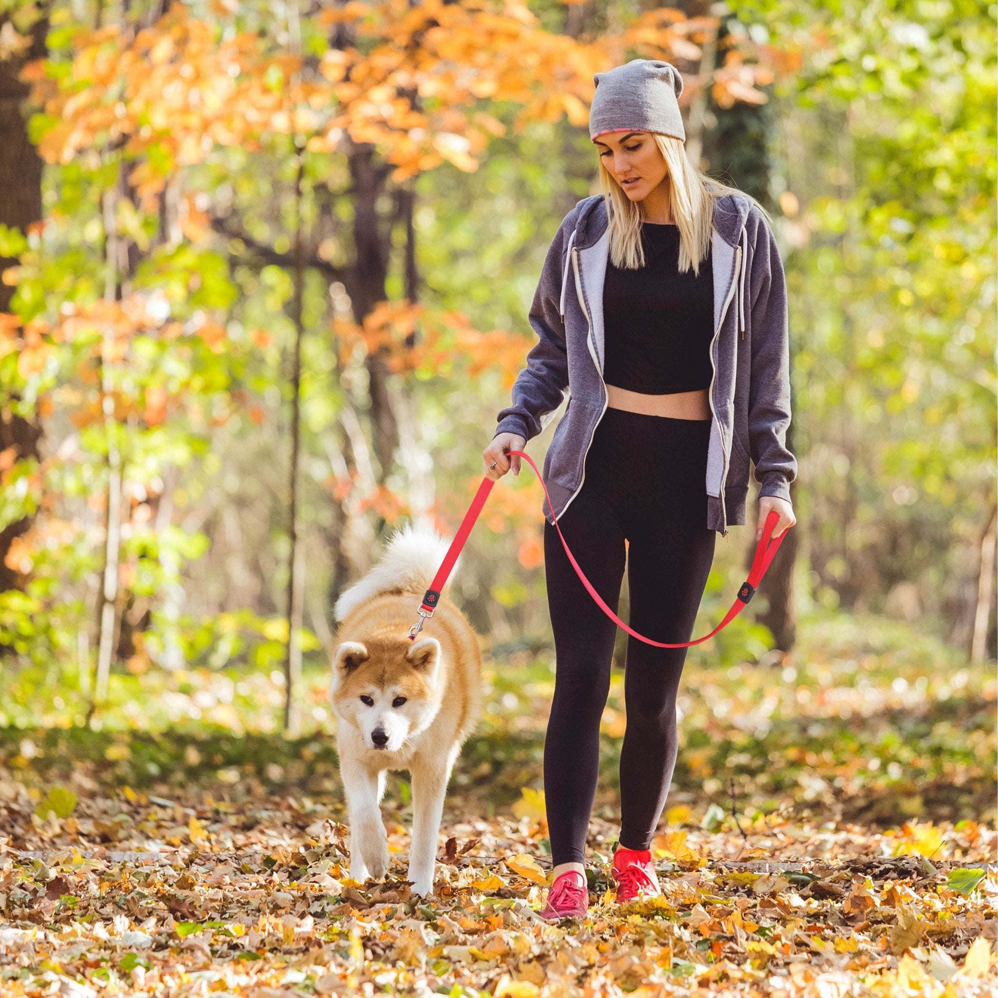 Doco Nylon Leash With Hand L (2.5 x 120cm)