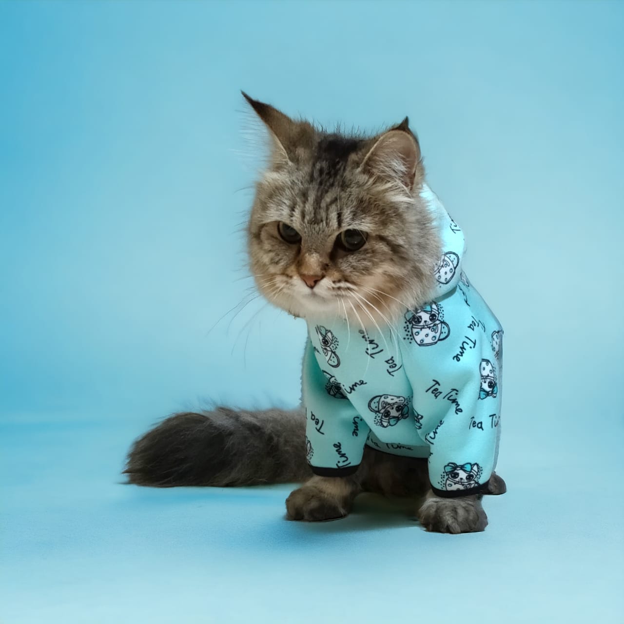 Petmoda Sweatshirt for cats