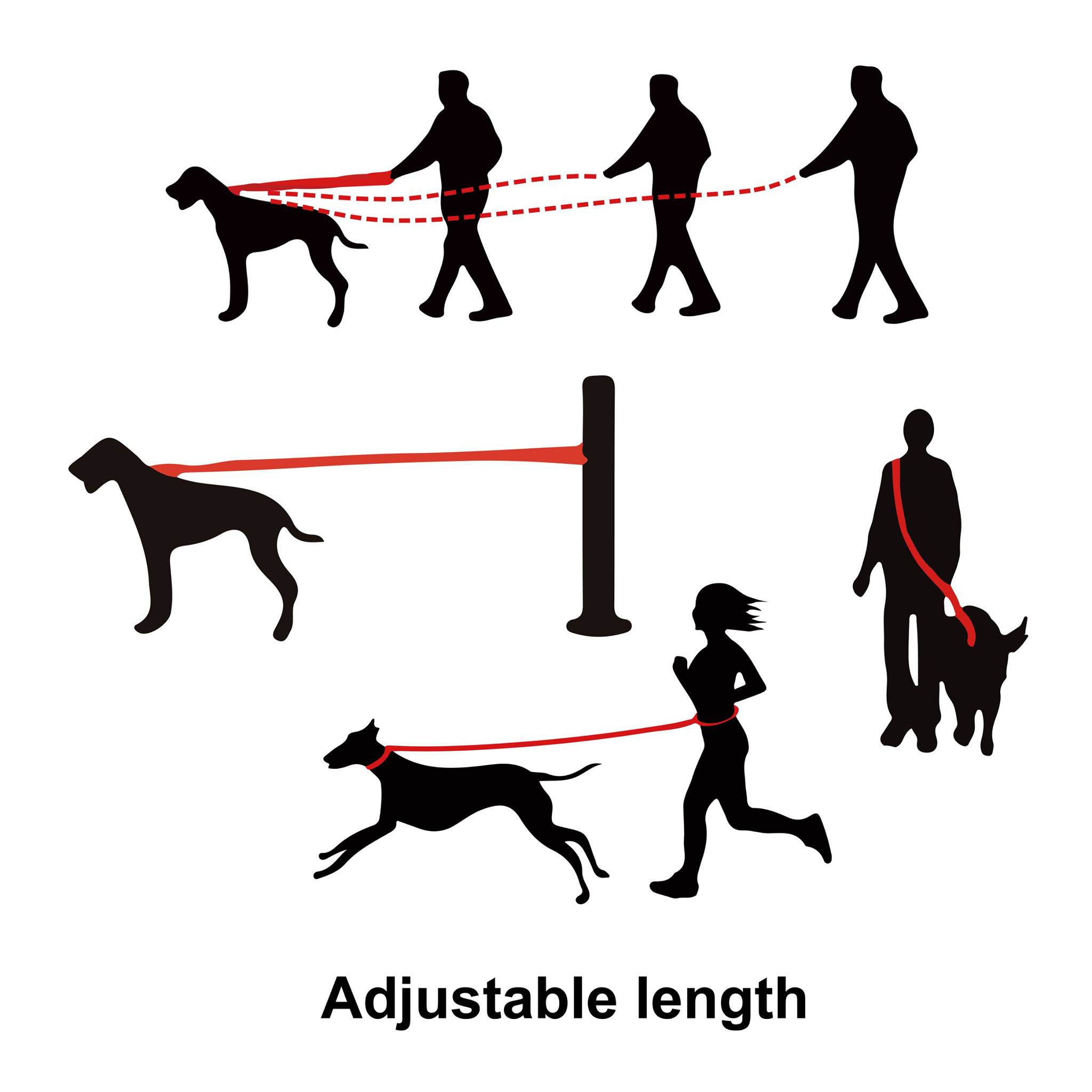 DOCO ATHLETICA EASY-SNAP™ AIR LEASH M/L ( 2.5 x 180cm )