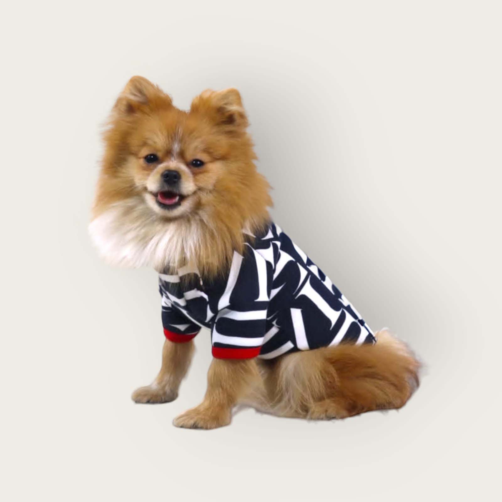 Petmoda Moda Sweatshirt Milton Dog Cat 10 sizes