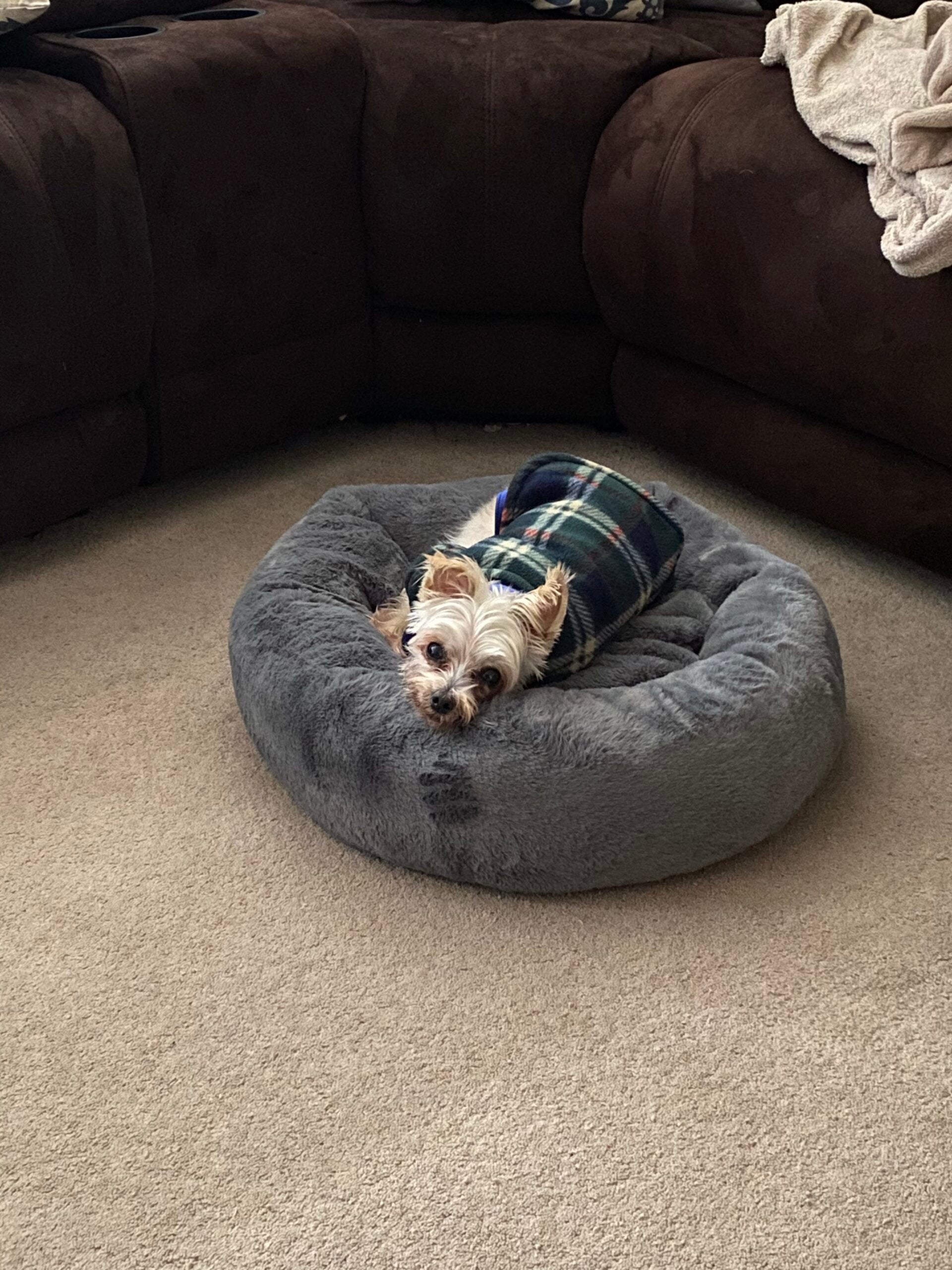 Donut Dog Cat Calming Bed fur