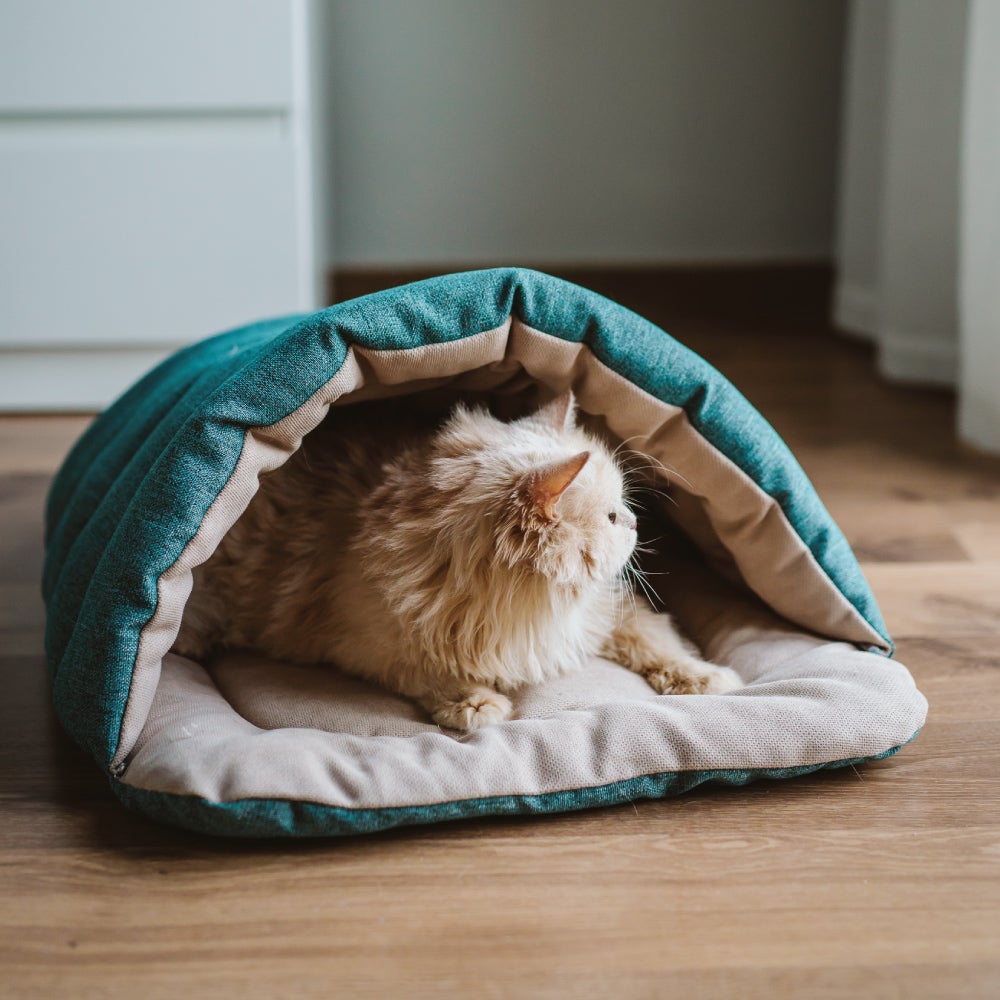 Ariika Cave-bed Pet Bed for cats and medium dogs