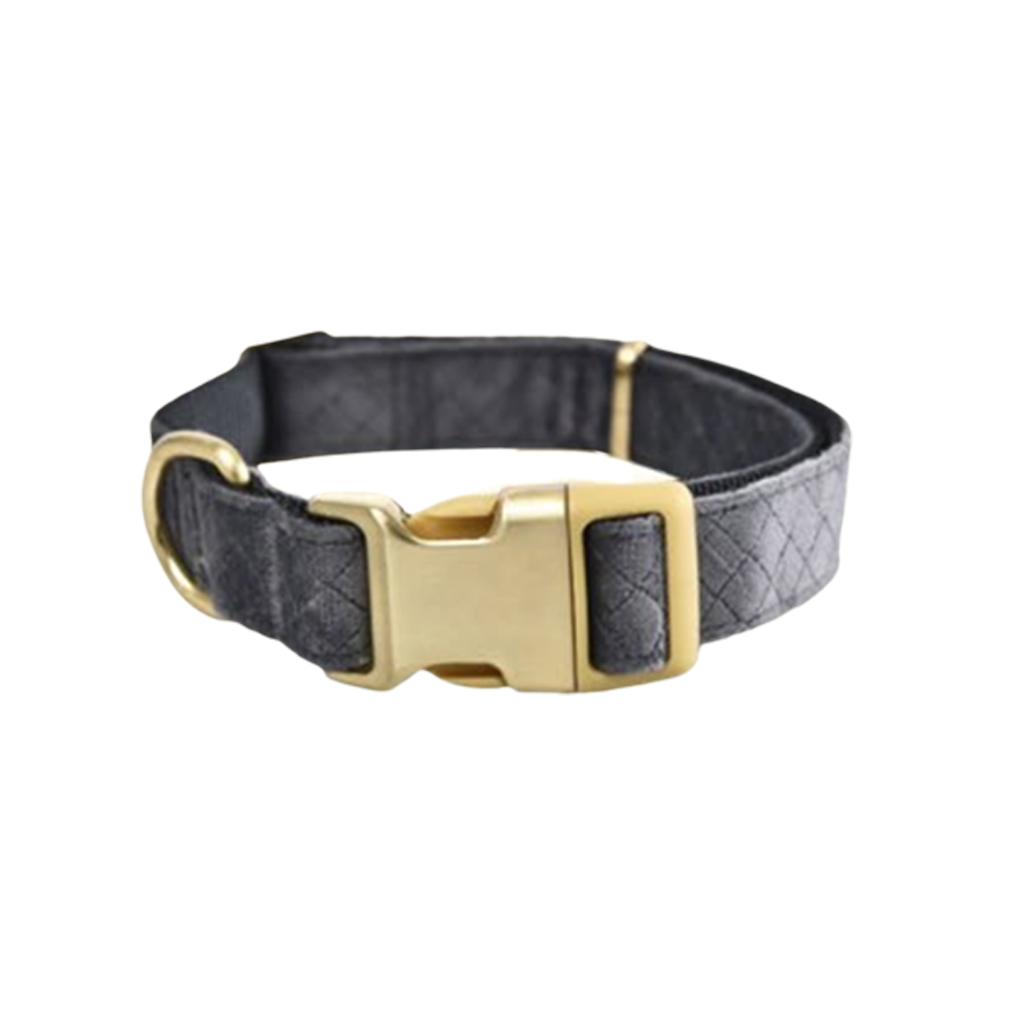 Naomi Chamois Gray Collar With Golden Buckle