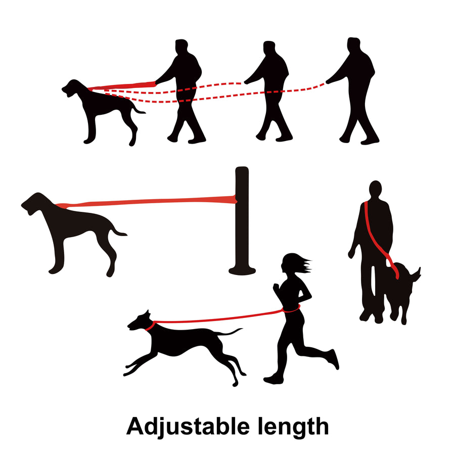 DOCO Easy-Snap Hands Free Leash 6FT Large