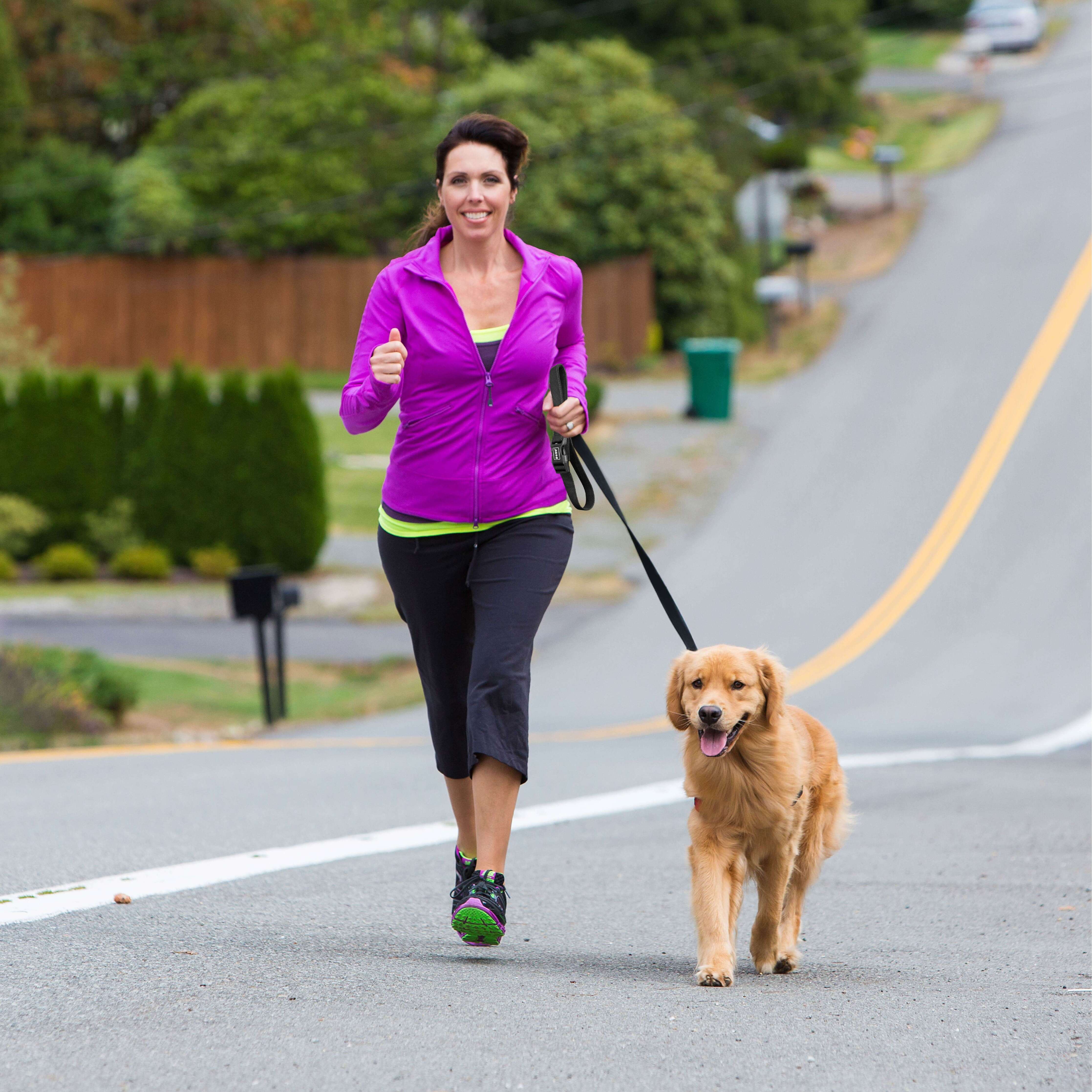 DOCO Easy-Snap Hands Free Leash 6FT Large