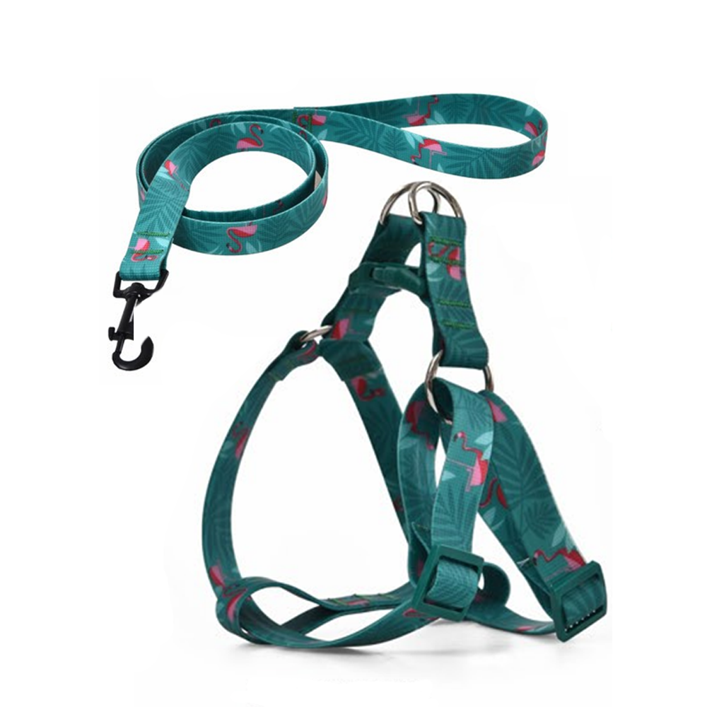 Naomi Impossible missions Harness with Leash