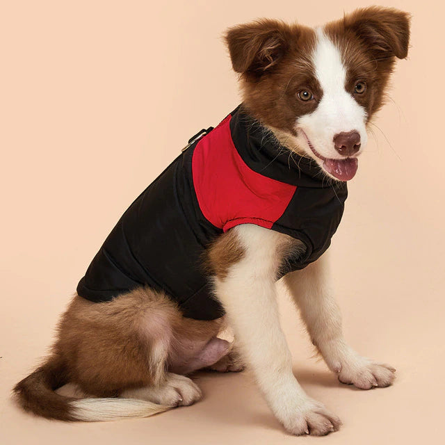 Waterproof Dog Coat Vest