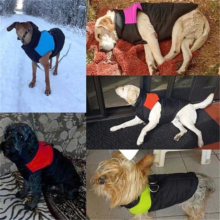 Waterproof Dog Coat Vest