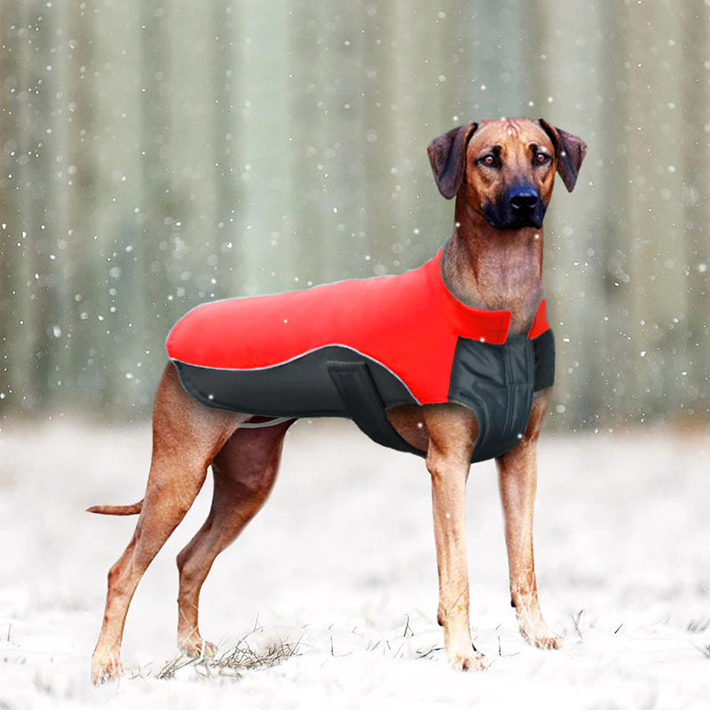 Dog Winter Waterproof Padded Vest