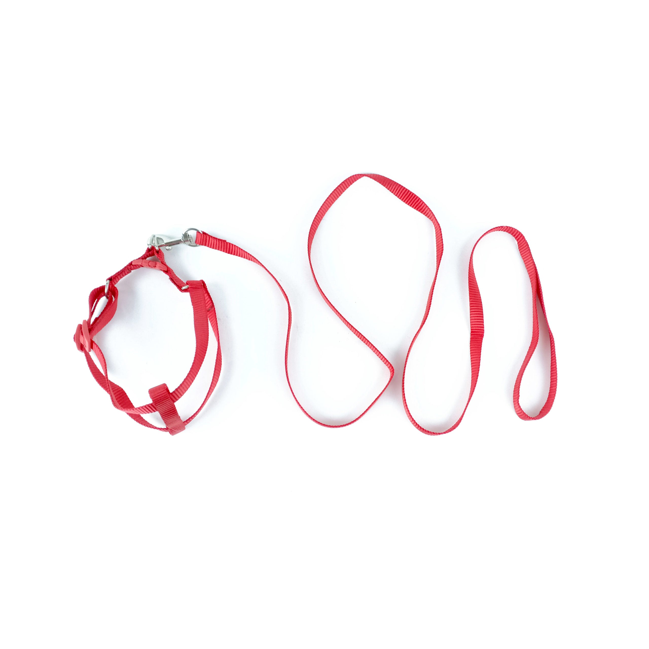 Leash & harness Small simple colors XSmall (1 cm ? 120 cm ? 24-36 cm)