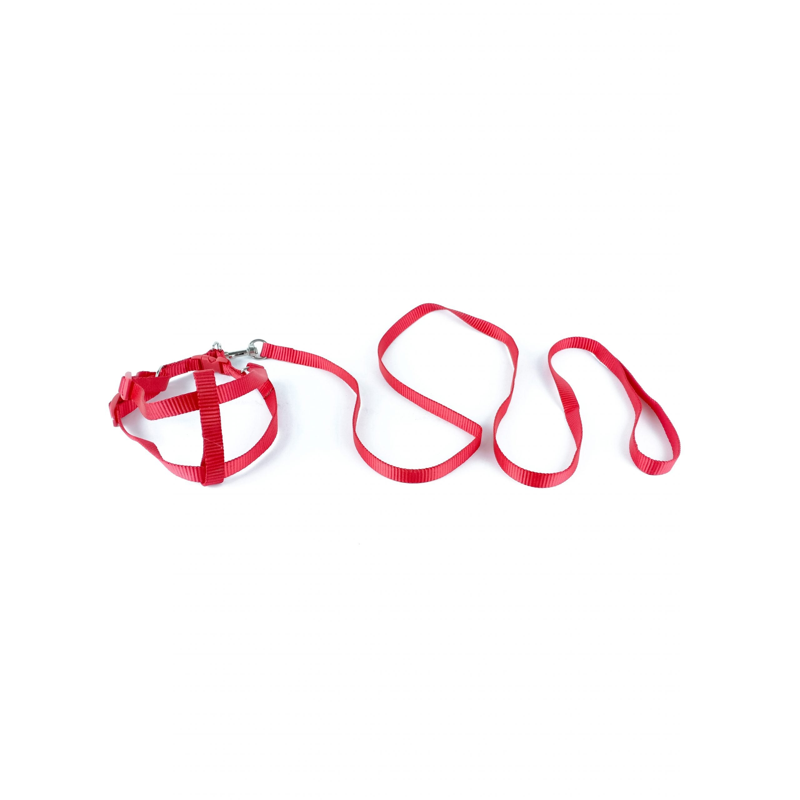 Leash & harness Small simple colors XSmall (1 cm ? 120 cm ? 24-36 cm)